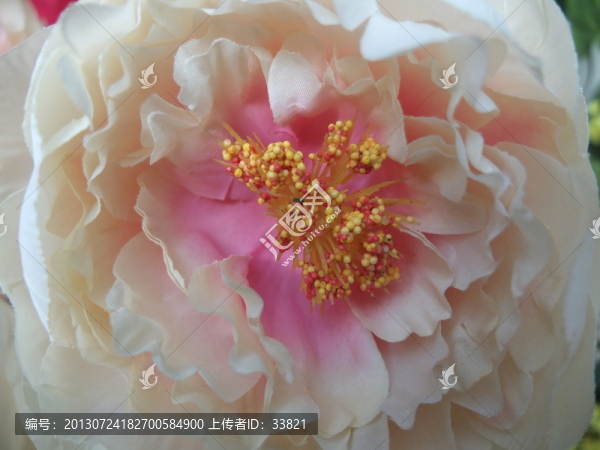 花蕊