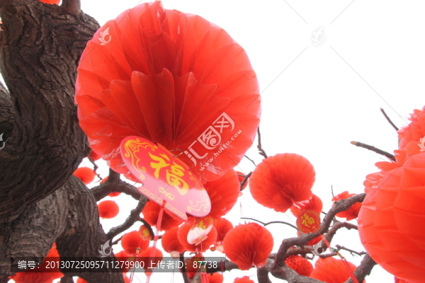 紅燈籠
