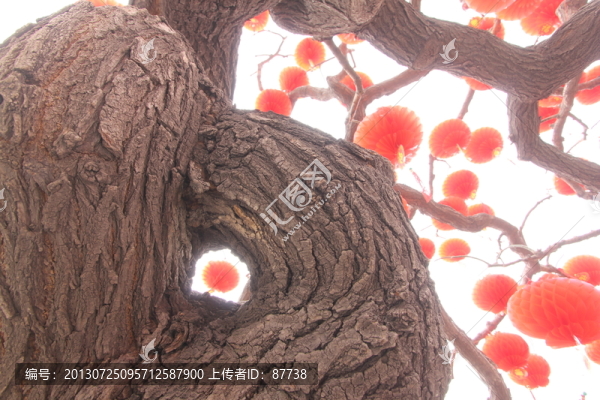 紅燈籠