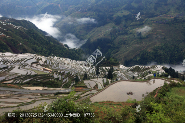 貴州梯田