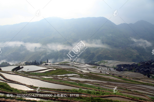 貴州梯田