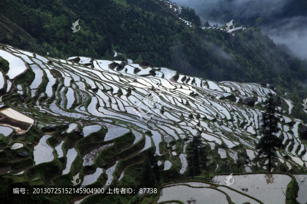 貴州梯田