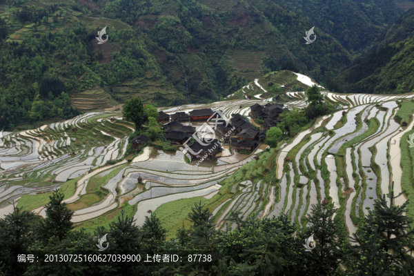 貴州梯田