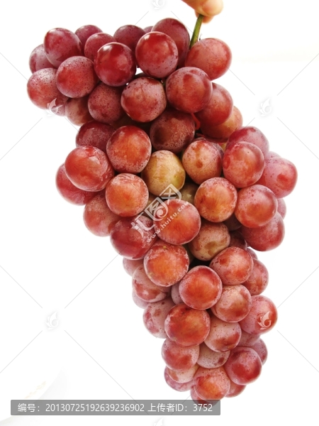 葡萄,,紅提