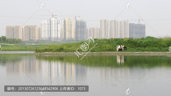清流河畔樓群