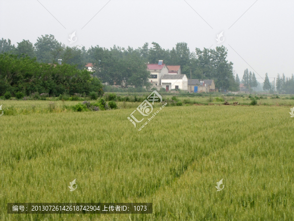 麥田農(nóng)家