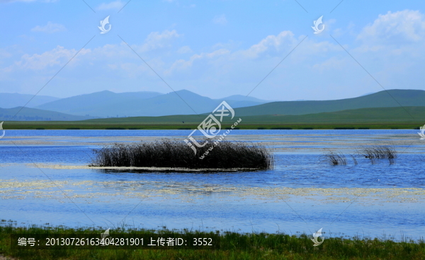 野鴨湖