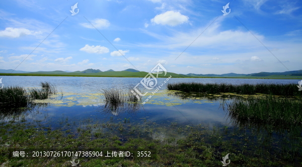 野鴨湖
