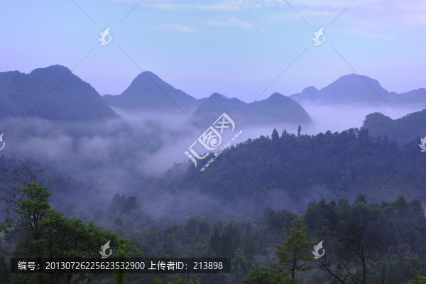 森林