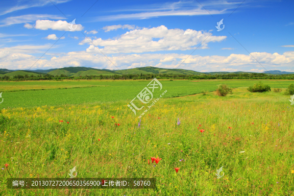 花野