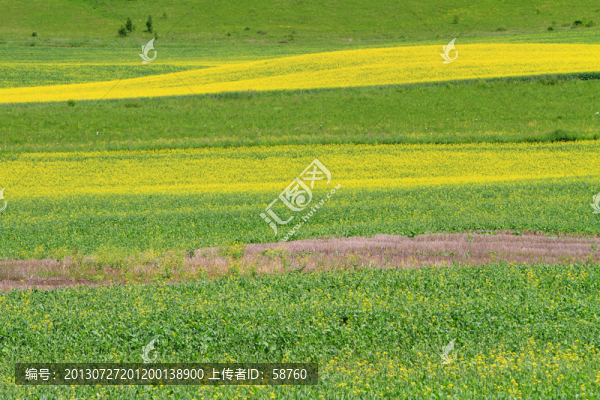 田園風(fēng)光