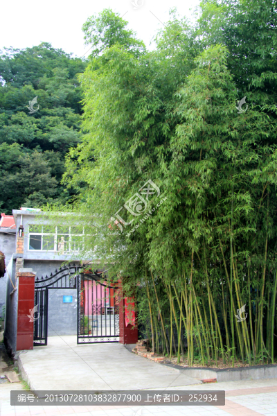 竹林居