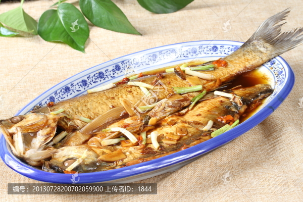 白條魚(yú)