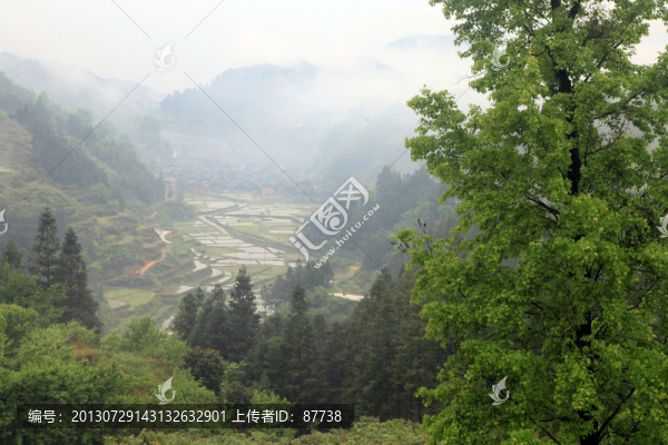 貴州梯田