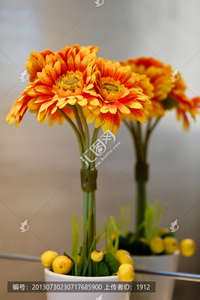 花盆