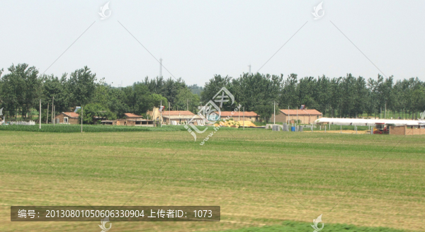 山東農(nóng)村村莊景色
