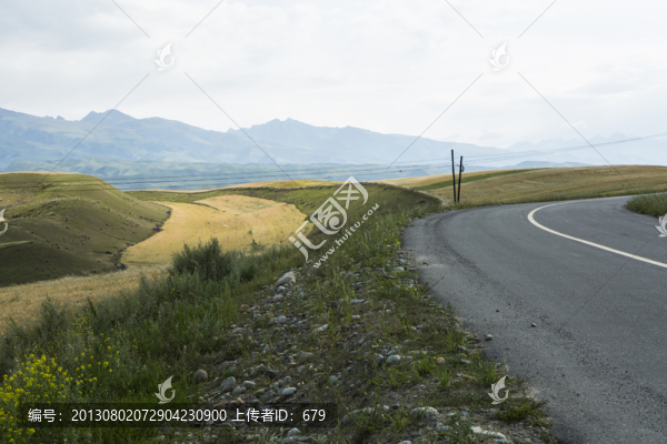 公路,麥田