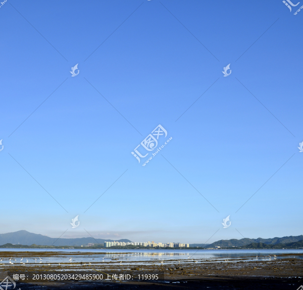 都市遠眺