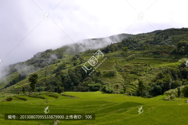 梯田