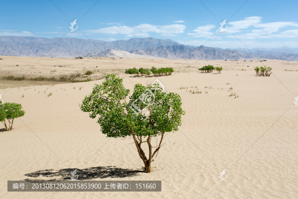 甘肅敦煌沙漠