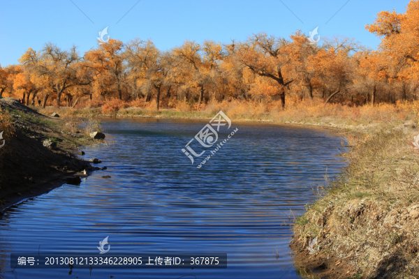 額濟(jì)納,胡楊林,黑水河