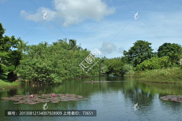 海南?？诎咨抽T(mén)公園濕地景觀(guān)