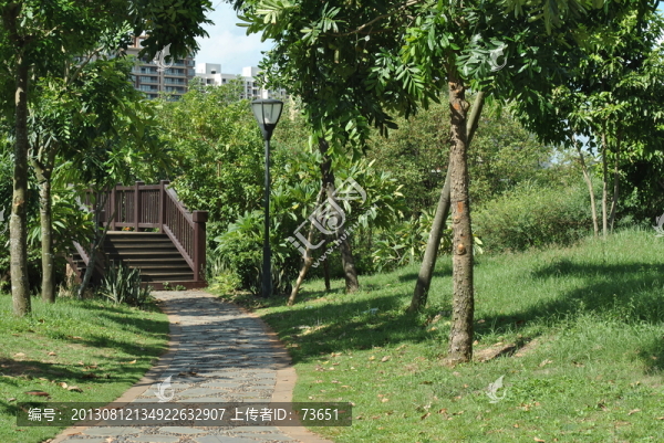 海南海口白沙門公園幽徑