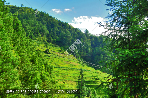 貴州風(fēng)景
