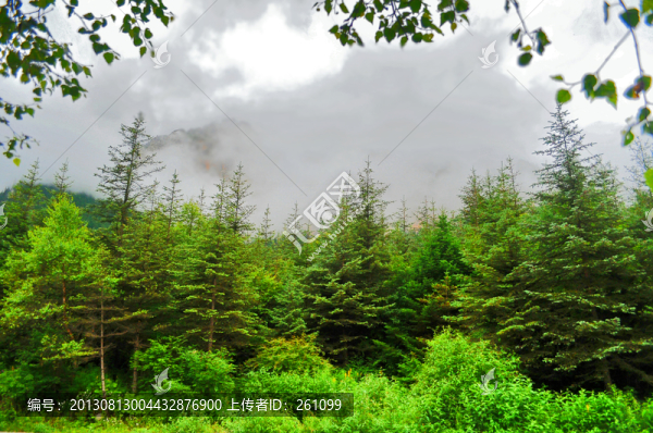 貴州風(fēng)景
