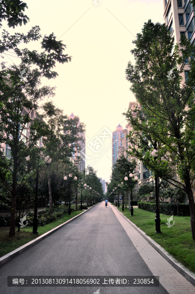 小區(qū)道路,小區(qū)綠化
