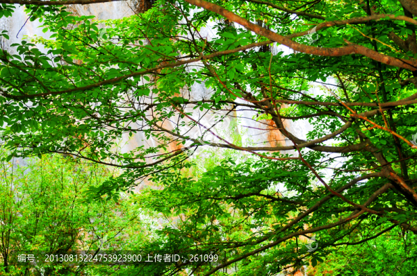 貴州風景
