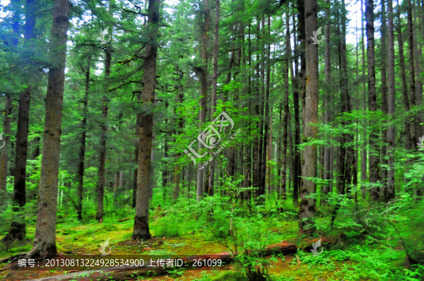 貴州風(fēng)景