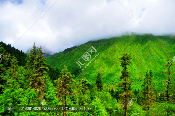 貴州風(fēng)景