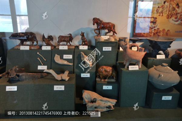 上海自然博物館