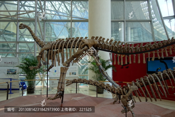上海科技館