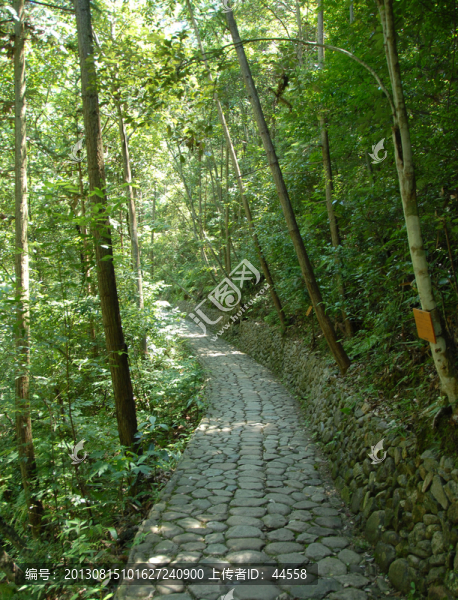 小路