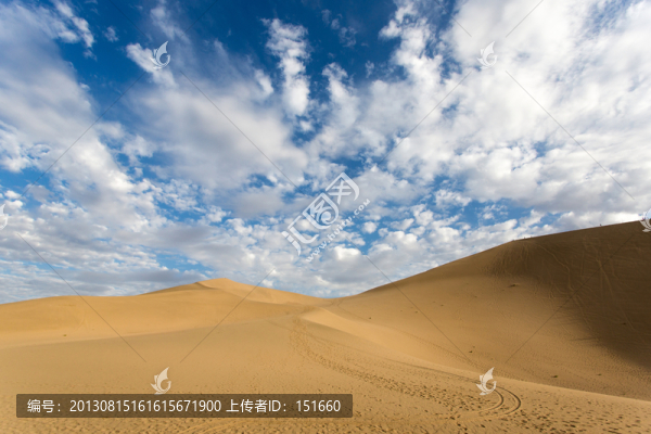 沙漠