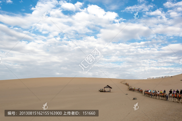 甘肅沙漠駱駝隊(duì)
