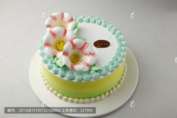 生日蛋糕喇叭花