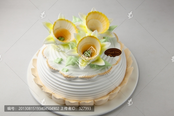 生日蛋糕喇叭水仙