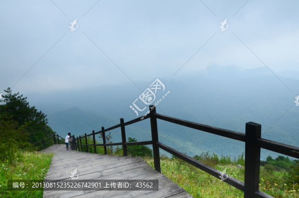 高山草甸
