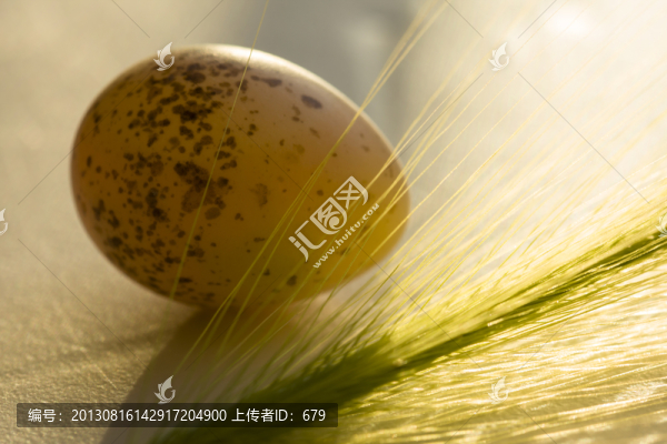 靜物,蛋