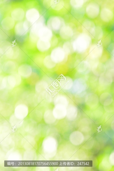 綠色光影
