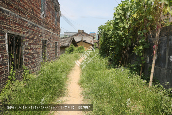 農(nóng)村小路