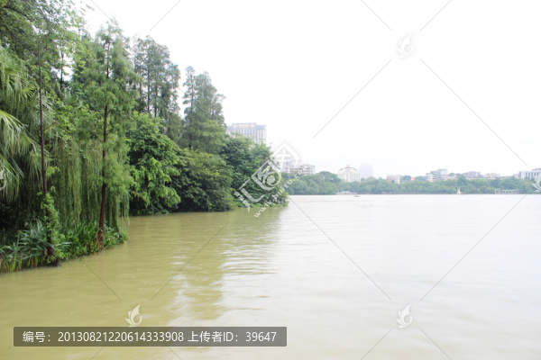 公園景觀
