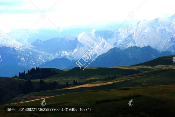 麥田