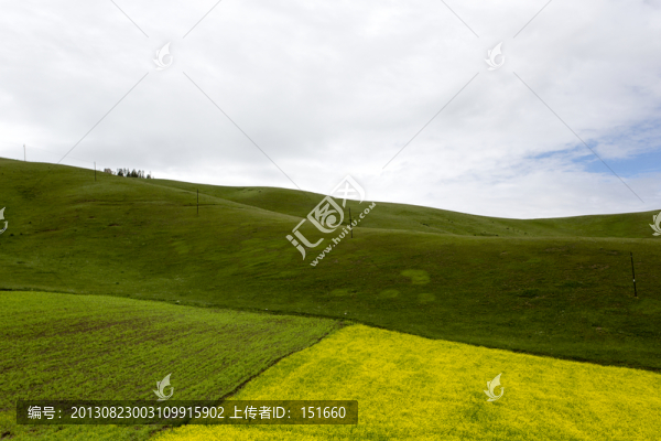 青海祁連山風景