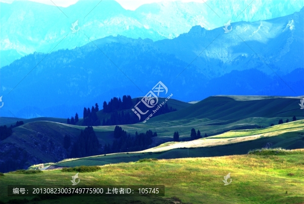 麥田