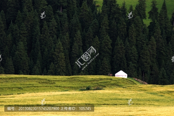 麥田
