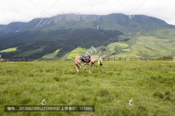 祁連山